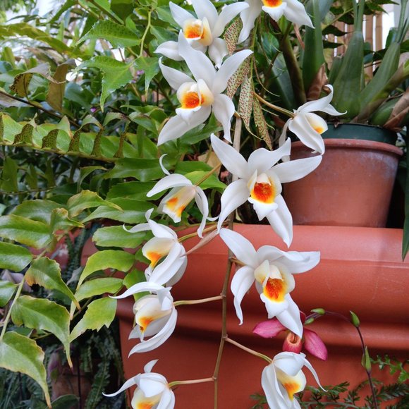 Snatch-able- Every Woman - Picture 6 of 6